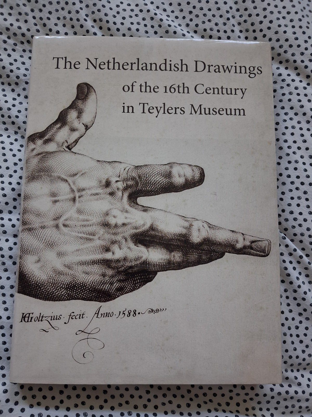 Nederlandse Tekeningen 16e Eeuw Teylers Museum, Boeken, Ophalen of Verzenden