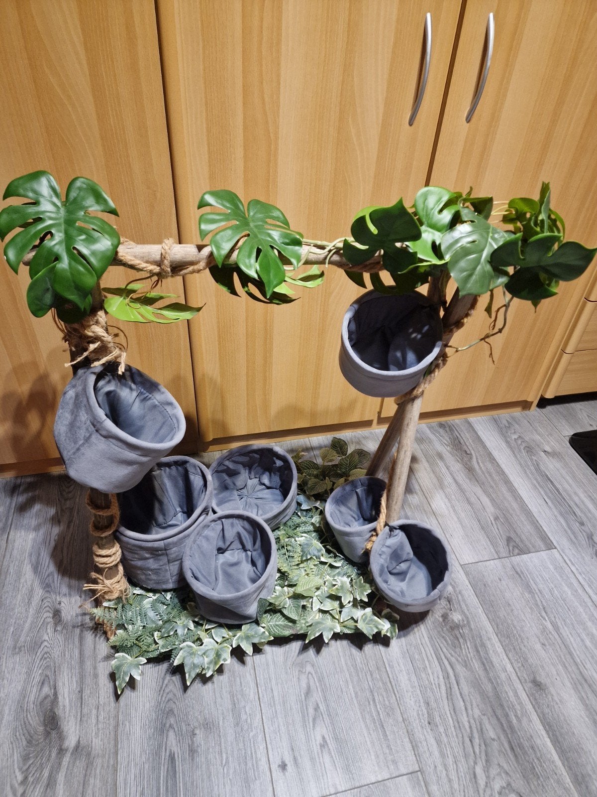 Decoratie, Ophalen, Halfschaduw, Minder dan 100 cm