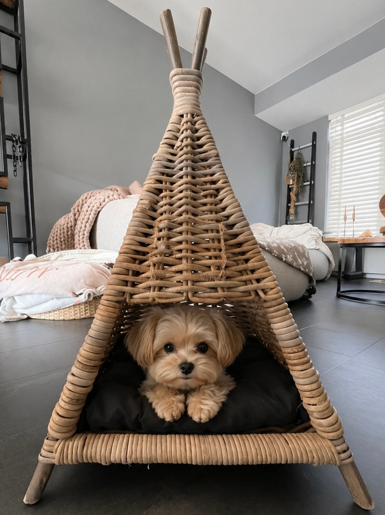 Leuke mand tipi tentje voor hondje of kat, Ophalen of Verzenden, Nieuw