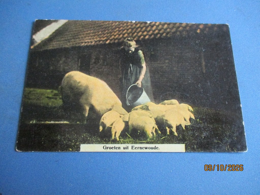 Eernewoude (1911), Ophalen of Verzenden, Voor 1920, Gelopen, Zuid-Holland
