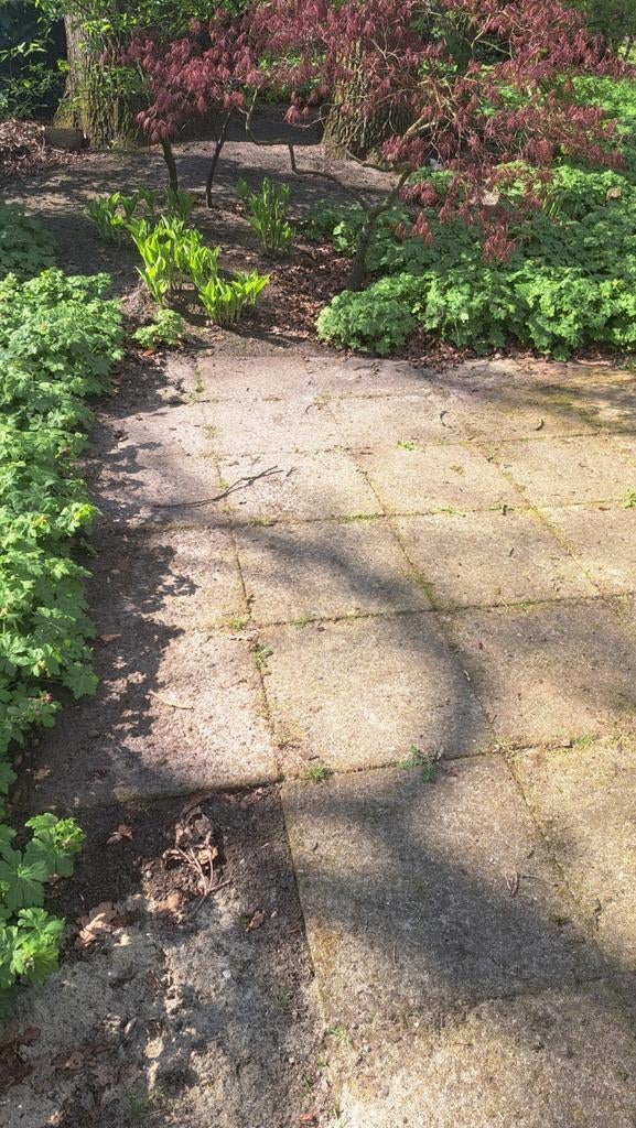 Gebruikte gratis terrastegels en klinkers voor tuin of pad, Tuin en Terras, Tegels en Klinkers, Gebruikt, Ophalen of Verzenden