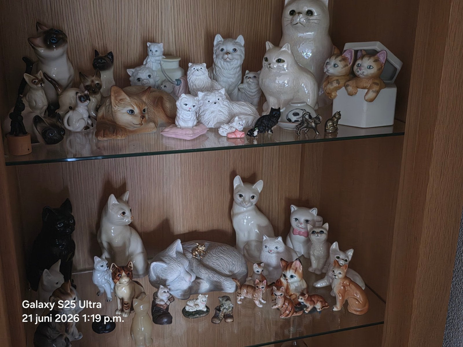 Grote verzameling diverse kattenbeeldjes, Ophalen of Verzenden