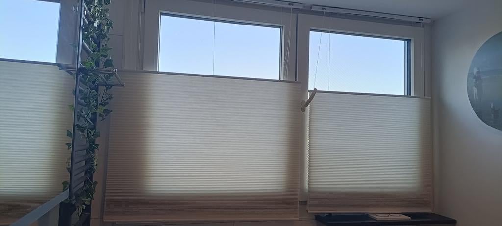 2 plisse gordijnen creme, Ophalen, 50 tot 100 cm, 150 tot 200 cm
