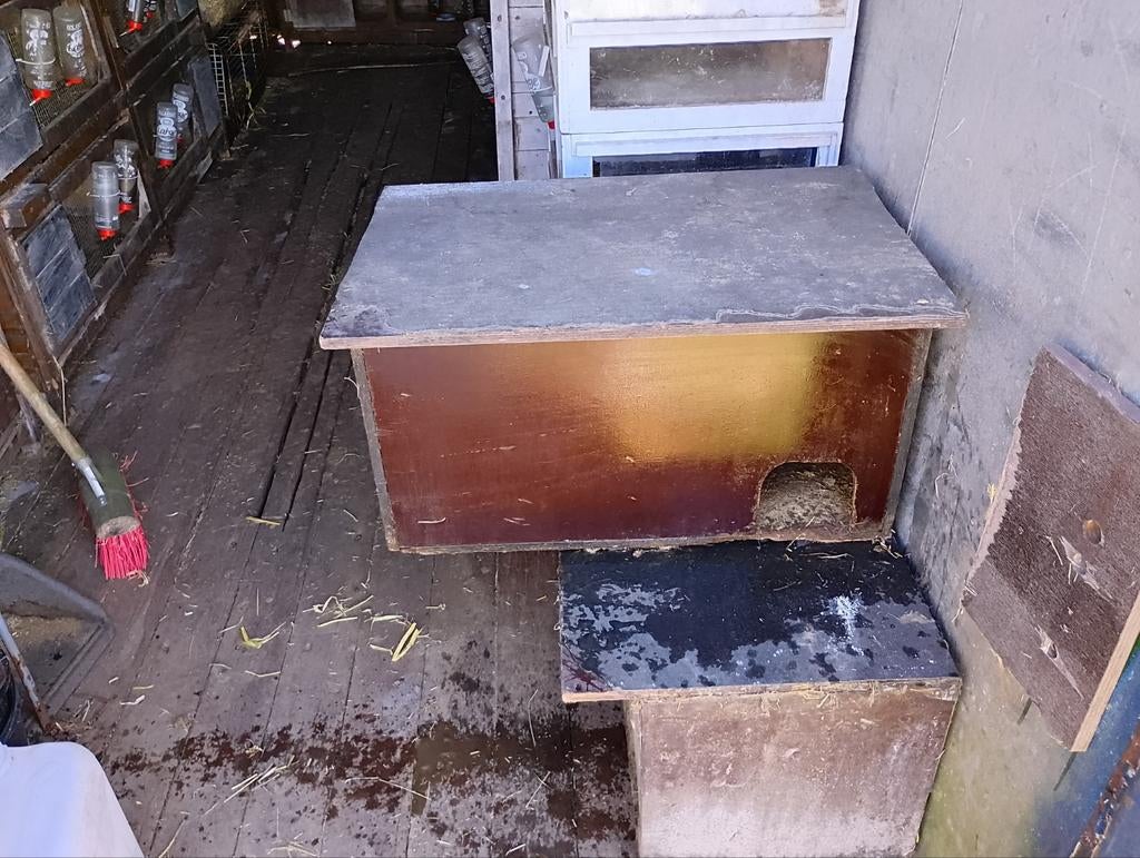 Nachthok voor cavia's of egels, Minder dan 60 cm, 110 cm of meer, Nieuw, Ophalen of Verzenden