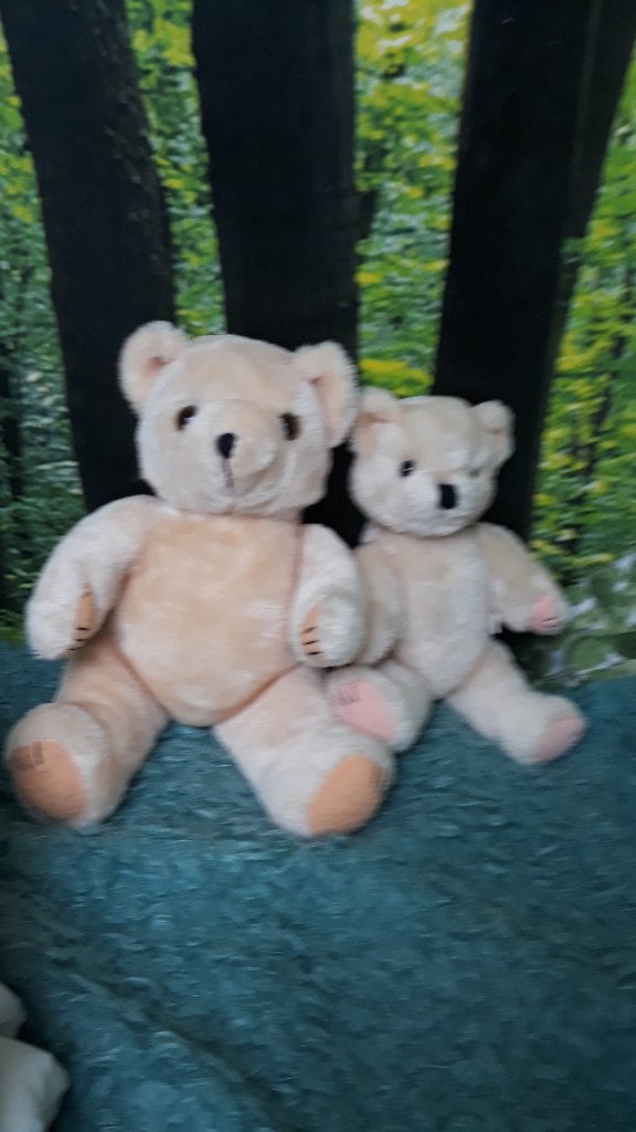 Beren, Verzamelen, Beren en Cherished Teddies, Ophalen of Verzenden, Gebruikt, Stoffen beer, Overige merken
