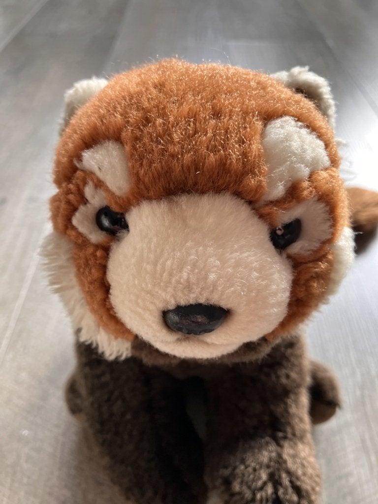 WWF Wasbeer knuffel (18 x 25 cm), Kinderen en Baby's, Speelgoed | Knuffels en Pluche, Overige merken, Overige typen, Ophalen of Verzenden
