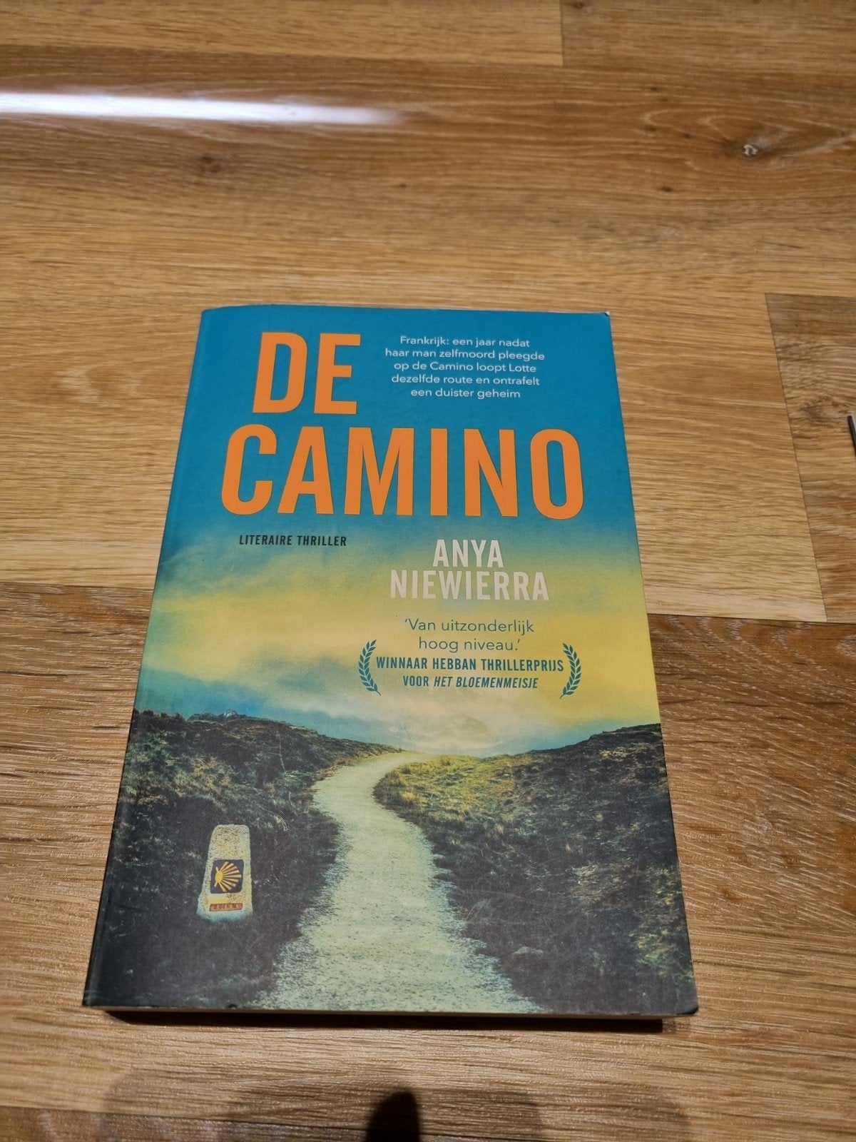 De Camino - Anya Niewierra (Literaire thriller), Boeken, Thrillers, Ophalen of Verzenden, Zo goed als nieuw, Anya Niewierra, Nederland