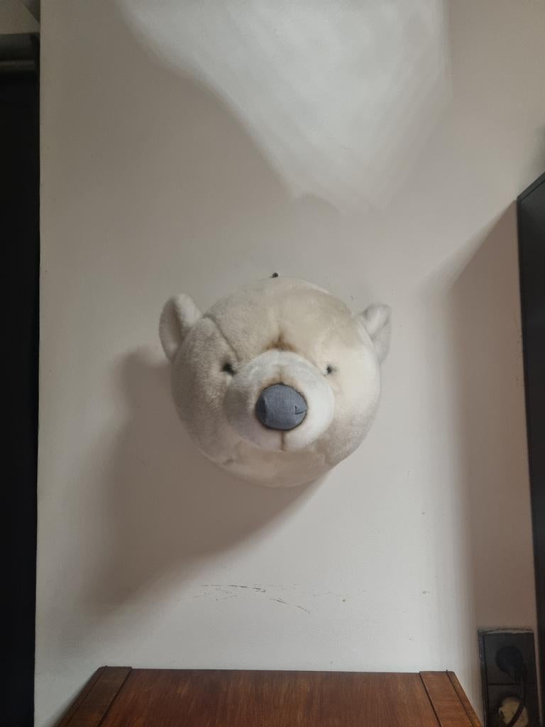 Knuffel Beer Hoofd Wanddecoratie, Ophalen of Verzenden, Zo goed als nieuw