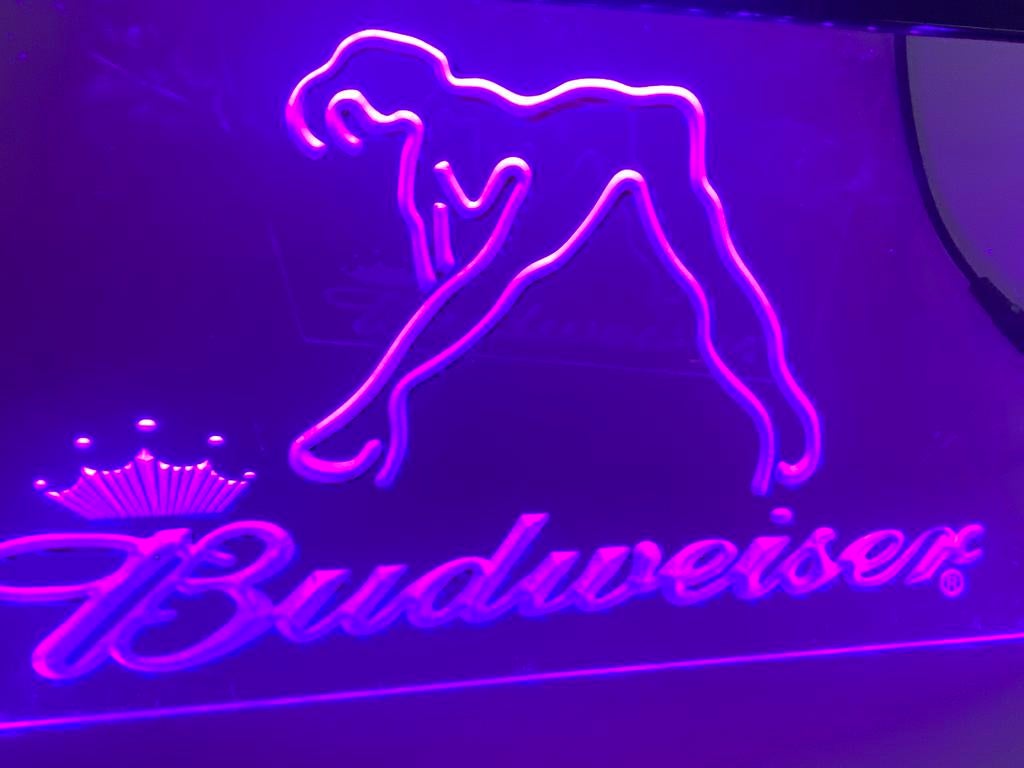 Neon Lamp / decoratie, Ophalen of Verzenden, Lichtbak of (neon) lamp