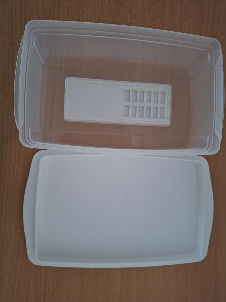 Tupperware kaas doos, Ophalen of Verzenden, Overige typen