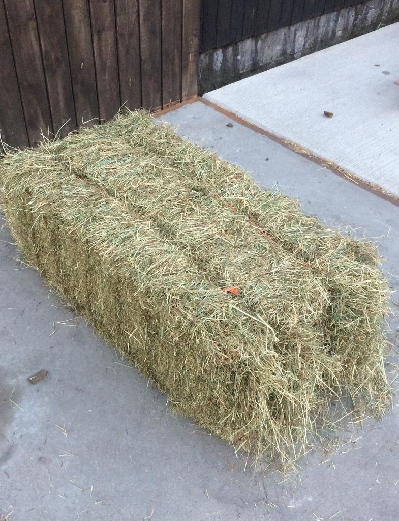 Goede kwaliteit pakjes baaltjes weide/paarden hooi en stro.