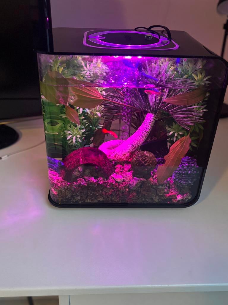 Aquarium Biorb flo, Ophalen of Verzenden, Zo goed als nieuw, Leeg aquarium