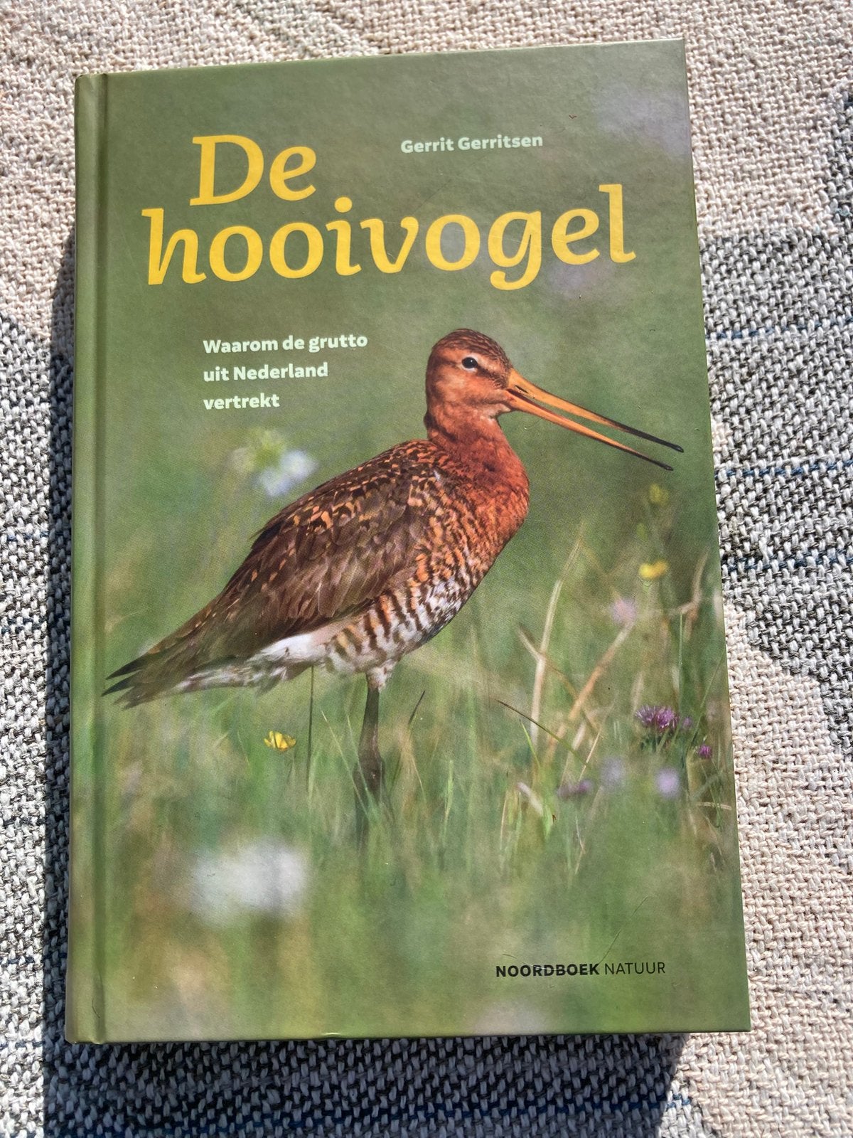 Boek: de Hooivogel of te wel de Grutto, Ophalen of Verzenden, Zo goed als nieuw, Vogels