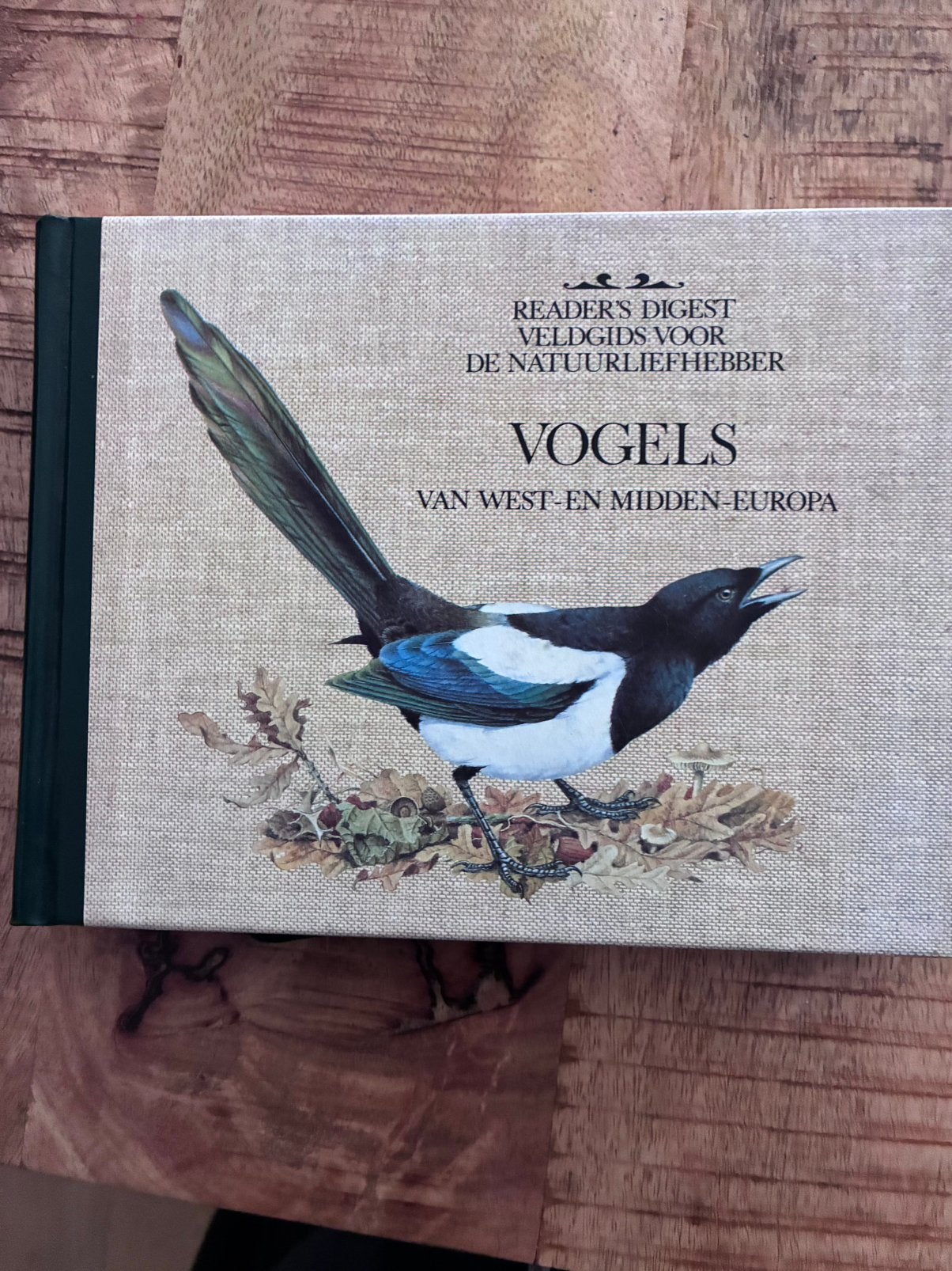 Readers Digest veldgids Vogels, Boeken, Natuur, Ophalen of Verzenden, Zo goed als nieuw, Vogels