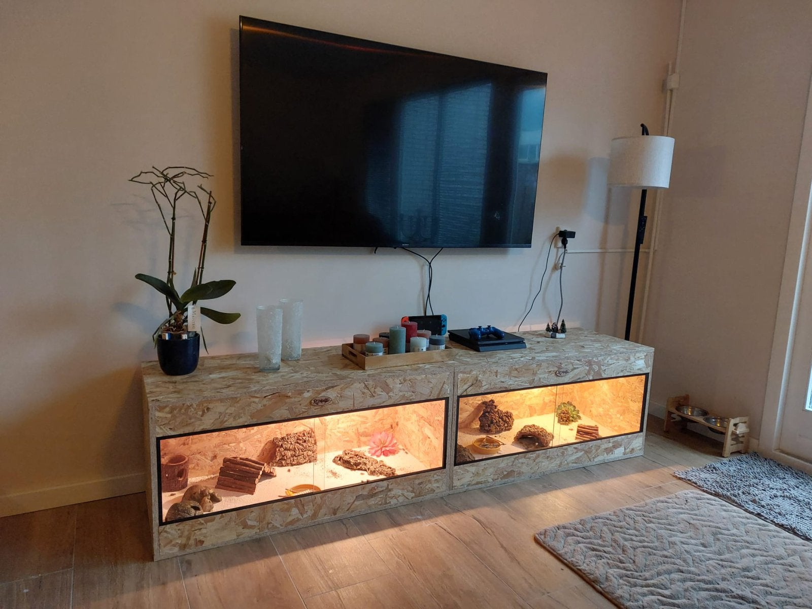 NIEUW ‼️ TERRARIUM OSB ( verschillende op voorraad ), Ophalen, Nieuw, Terrarium of Paludarium