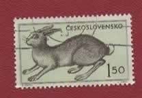 Fauna - Dieren - Konijn - Tsjecho-Slowakije - 1.50 - gebr, Ophalen of Verzenden, Gestempeld, Dier of Natuur