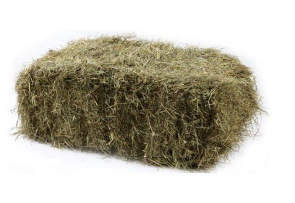 Kleine hooi balen, Dieren en Toebehoren, Dierenvoeding, Ophalen, Vee
