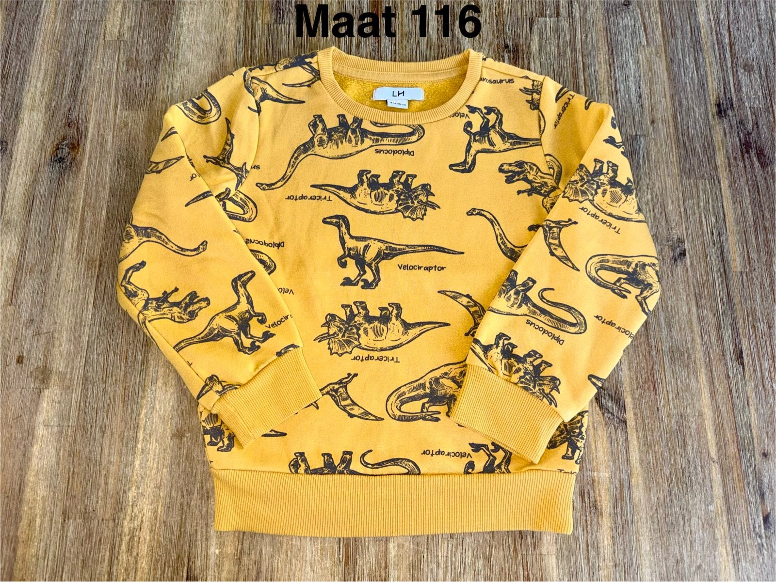 Mosterdgele trui met dino print - Maat 116, Kinderen en Baby's, Ophalen of Verzenden, Zo goed als nieuw, Jongen, Trui of Vest