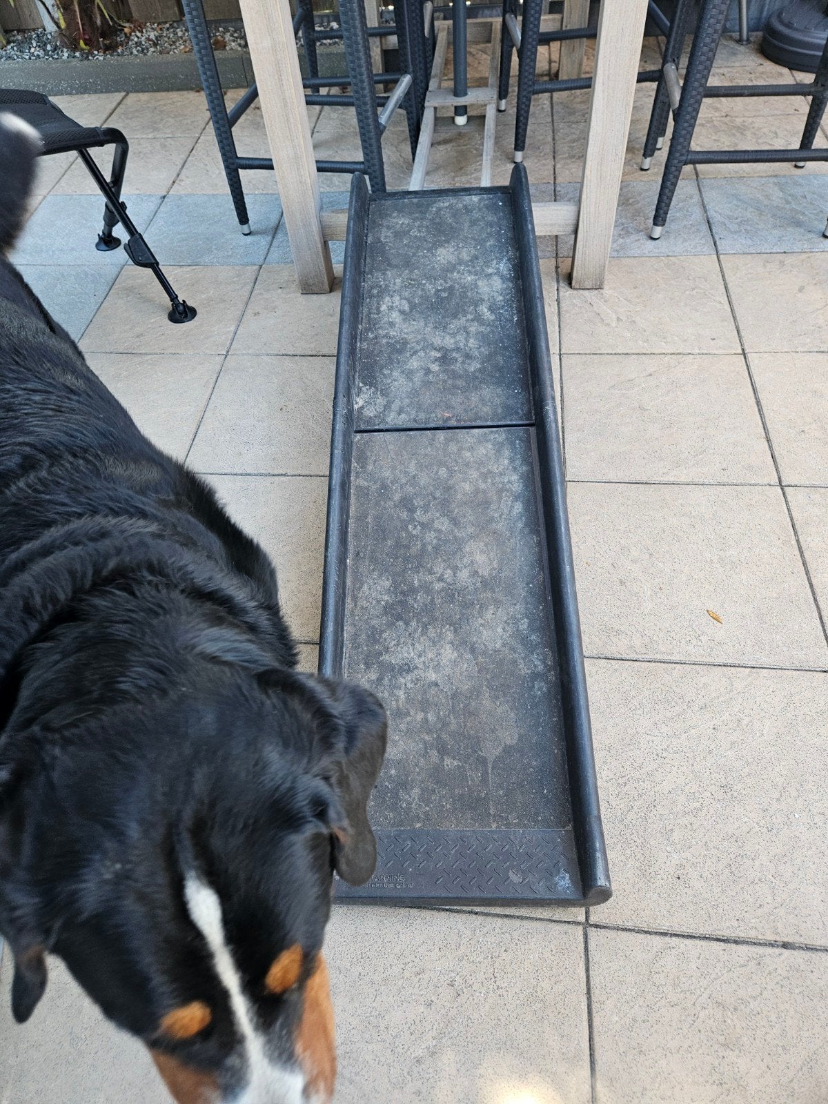 Loopplank voor grote honden, Ophalen, Gebruikt, Hondenloopplank