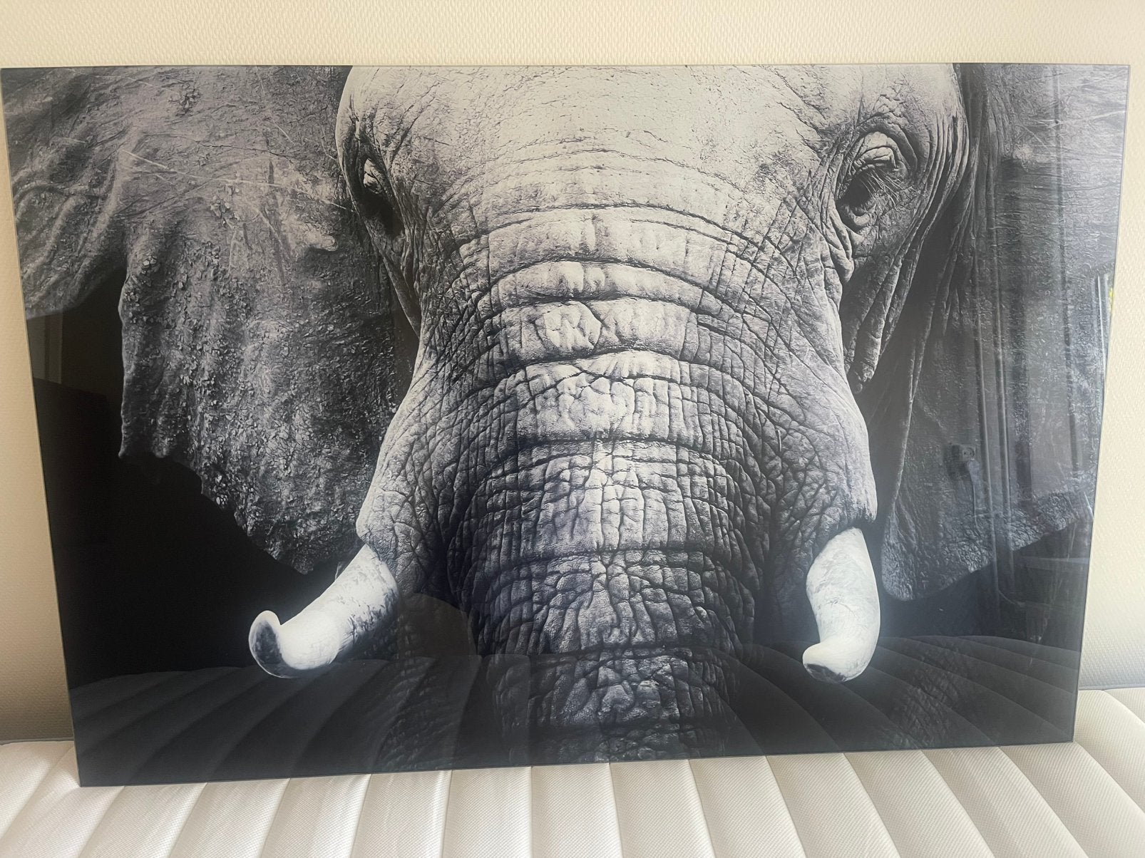 Plexiglas olifanten schilderij!, Huis en Inrichting, Ophalen, Zo goed als nieuw, Schilderij