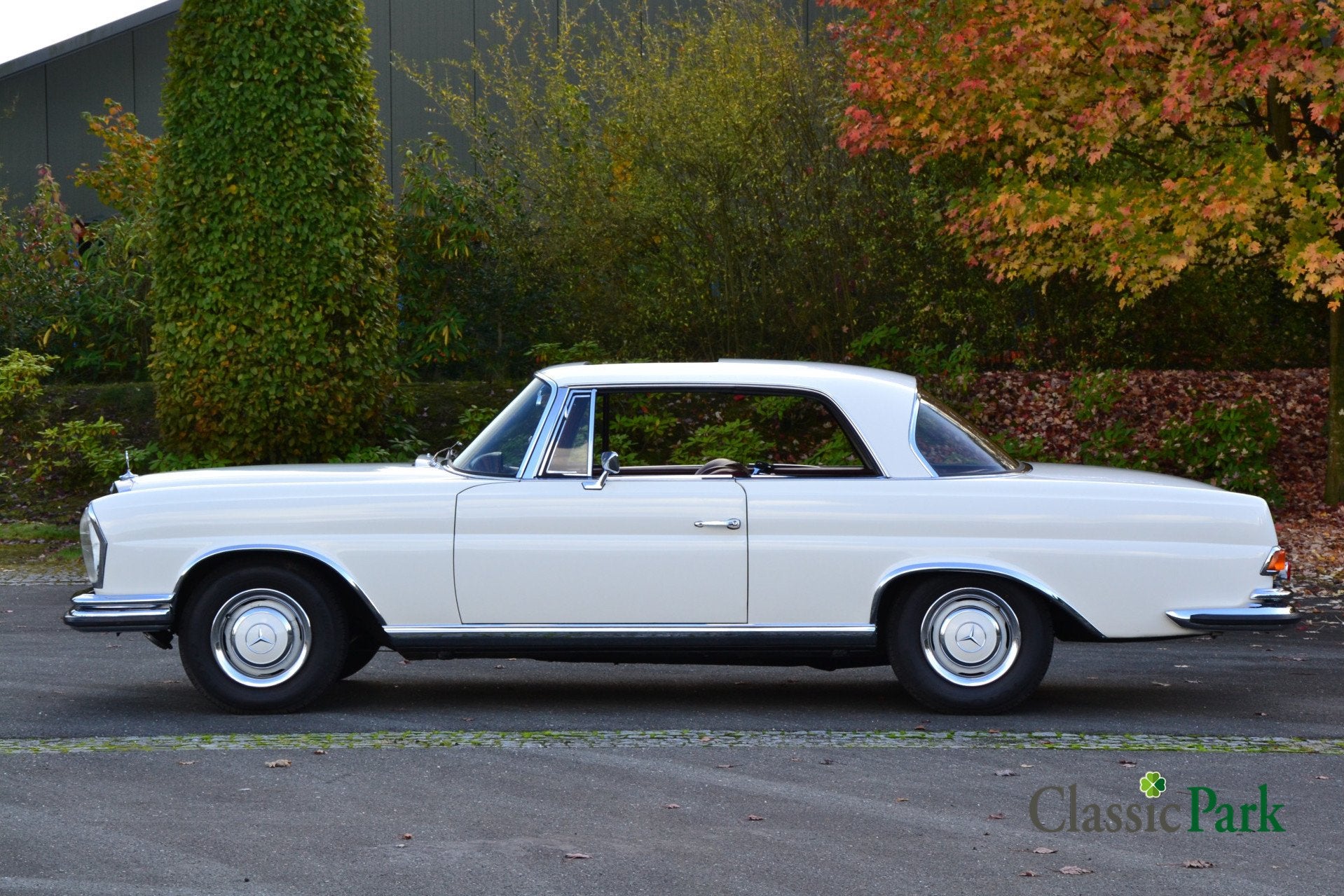 Mercedes-Benz 200-serie 250 SE Coupé (bj 1966, automaat), foto 2