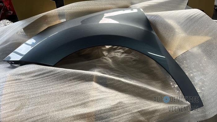Scherm links-voor van een Citroen C3 (KTH), -, Nieuw, Ophalen of Verzenden, -