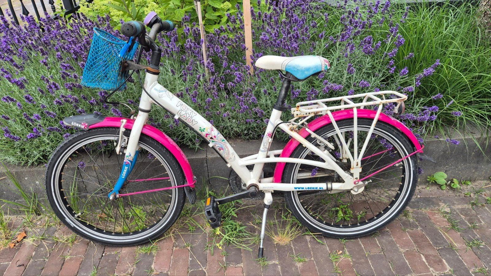 Loekie kinderfiets 20 met mandje, handrem en terugtraprem, Fietsen en Brommers, Fietsen | Kinderfietsjes, Ophalen, Gebruikt, Loekie
