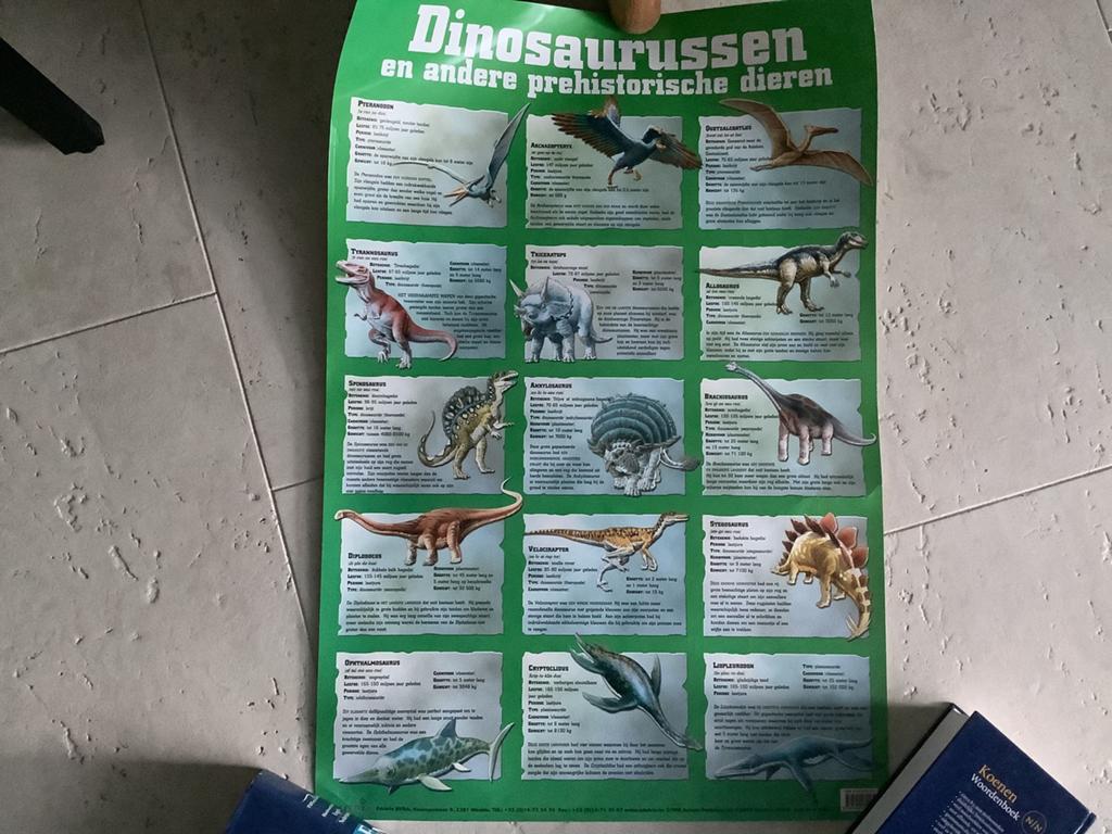 grote poster dino dinosaurus dinosaurussen dino’s 76x52 cm, Ophalen of Verzenden, A1 t/m A3
