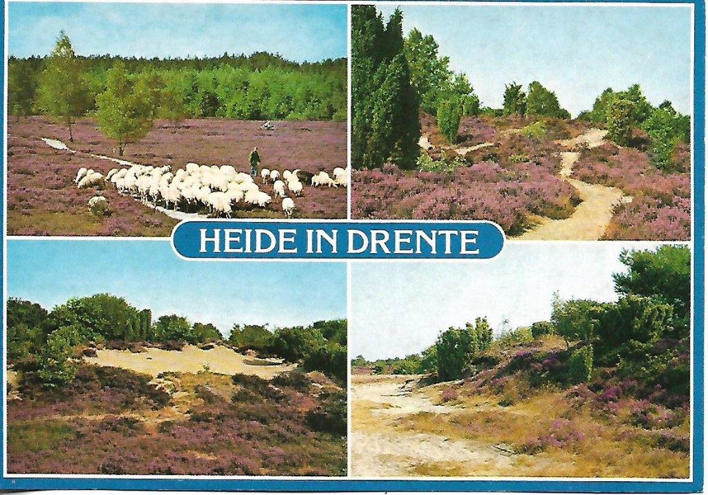 Drenthe- -4-luik., Verzenden, 1980 tot heden, Ongelopen, Drenthe