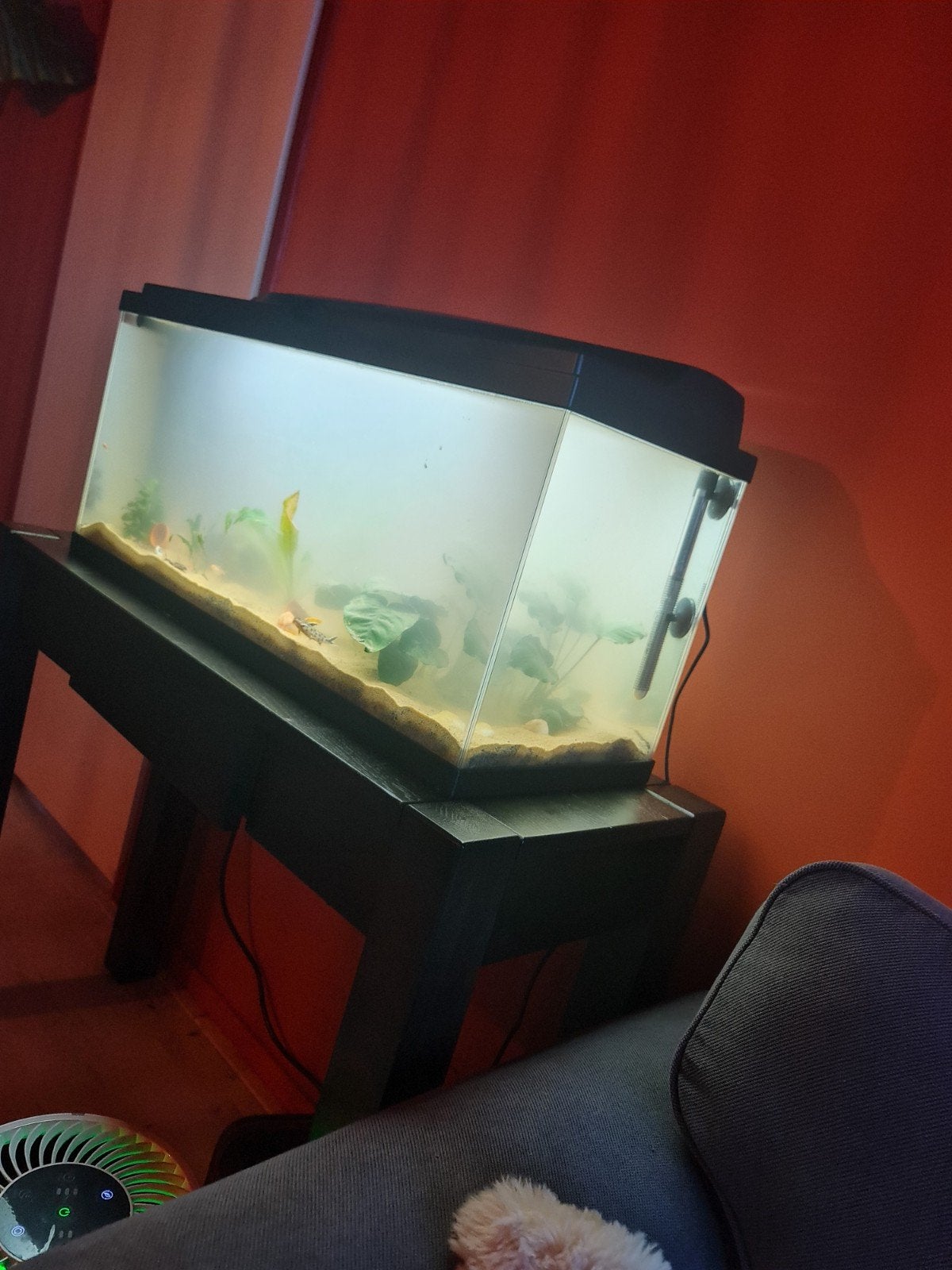 Aqarium 80x30x41,5 cm  74L, Ophalen, Zo goed als nieuw, Leeg aquarium