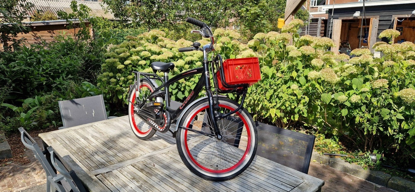 Alpine Clubb 20 inch jongensfiets - Nette staat, Ophalen, Gebruikt, Alpine Clubb, Terugtraprem