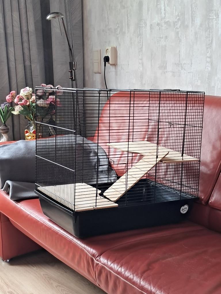 hamster, knaagdierenkooi, Dieren en Toebehoren, Kooi, Gebruikt, Minder dan 75 cm, Muis