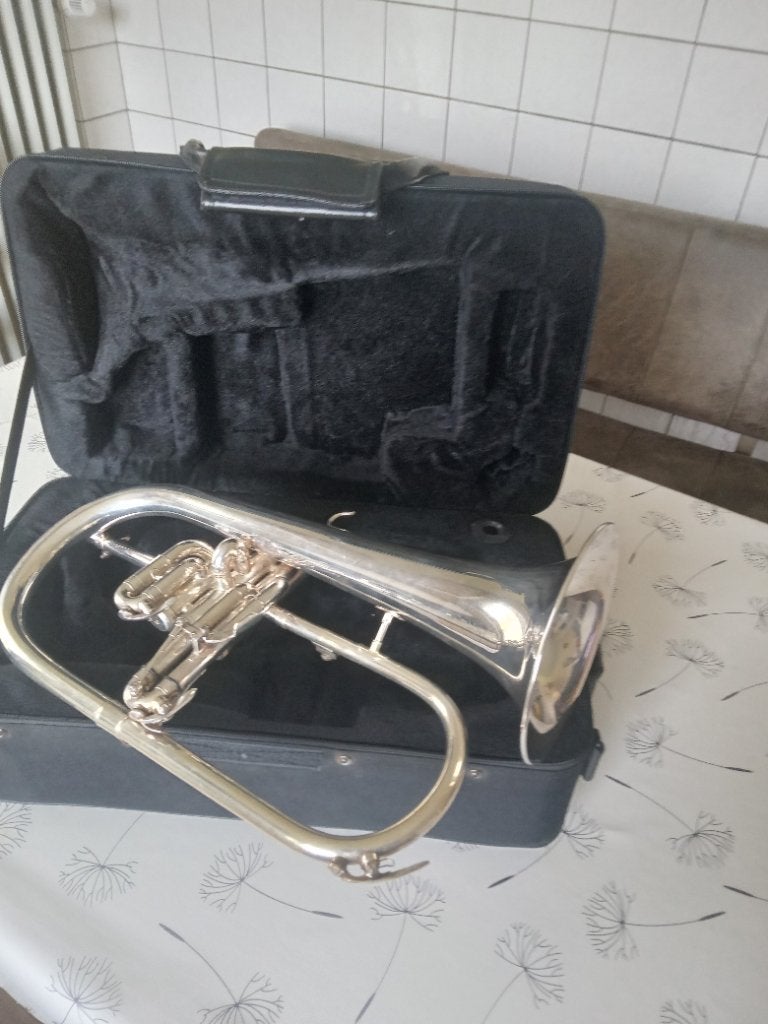 Bugel Purcell, Muziek en Instrumenten, Ophalen of Verzenden, Gebruikt, Overige typen, Met koffer