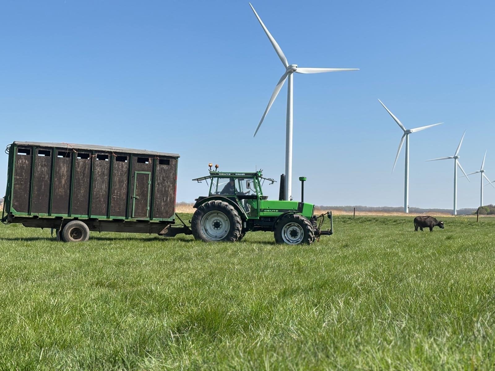 Veewagen met hydraulische klep., Ophalen, Veehouderij, Transport