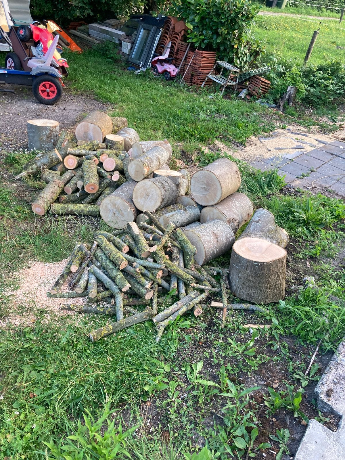 Haardhout: meer dan een kuub stammen van 30 cm, Tuin en Terras, Haardhout, Minder dan 3 m³, Ophalen, Overige houtsoorten, Blokken