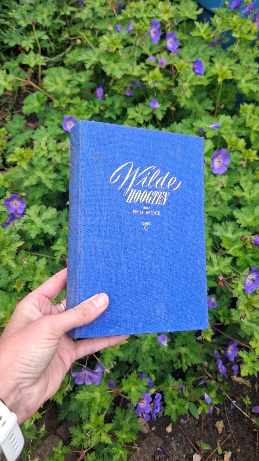 Wilde Hoogten - Emily Brontë (Margriet Bibliotheek), Ophalen of Verzenden, Gelezen, Emily Brontë, Nederland