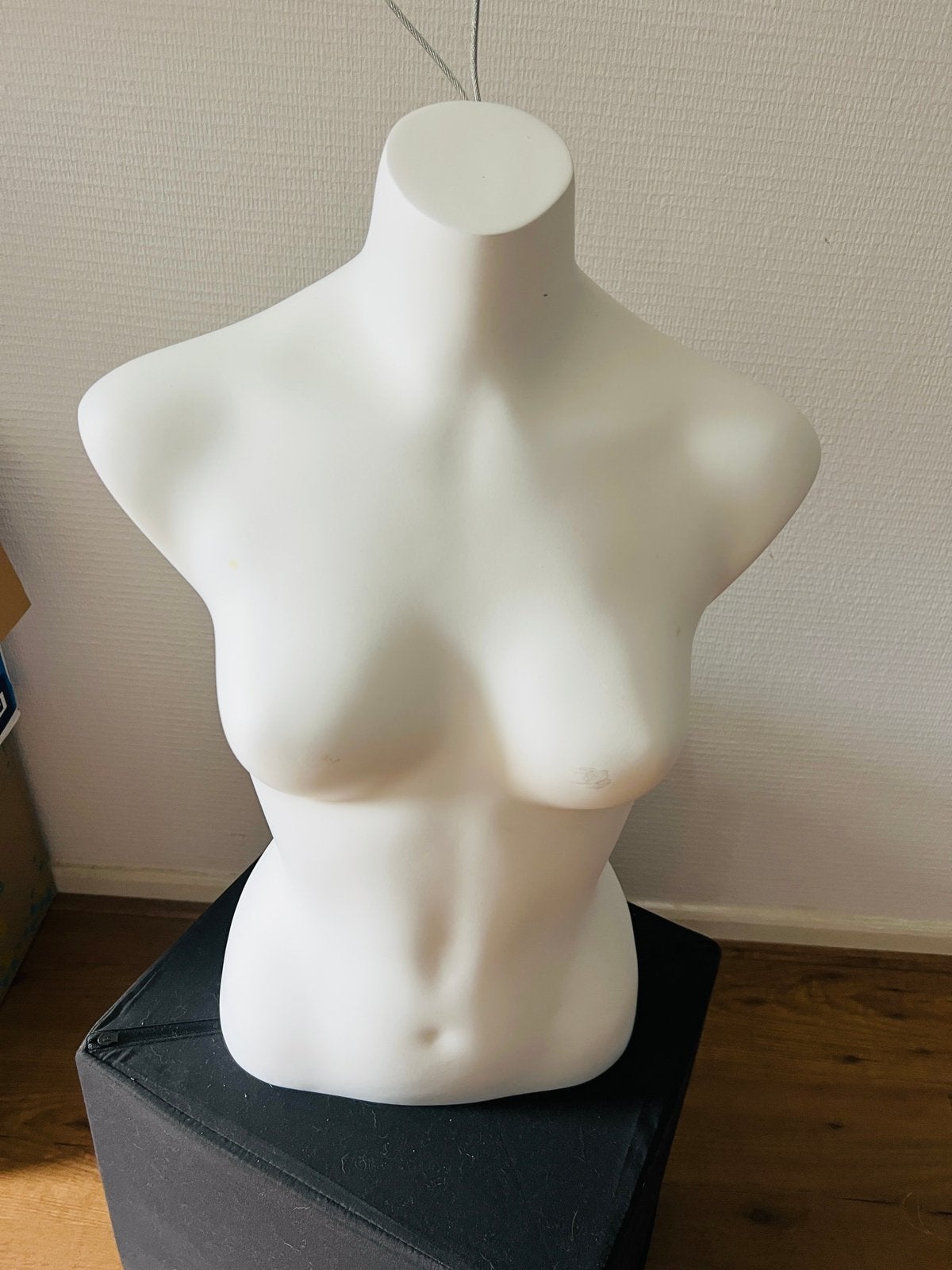 Torso paspop, Ophalen, Zo goed als nieuw, Paspop