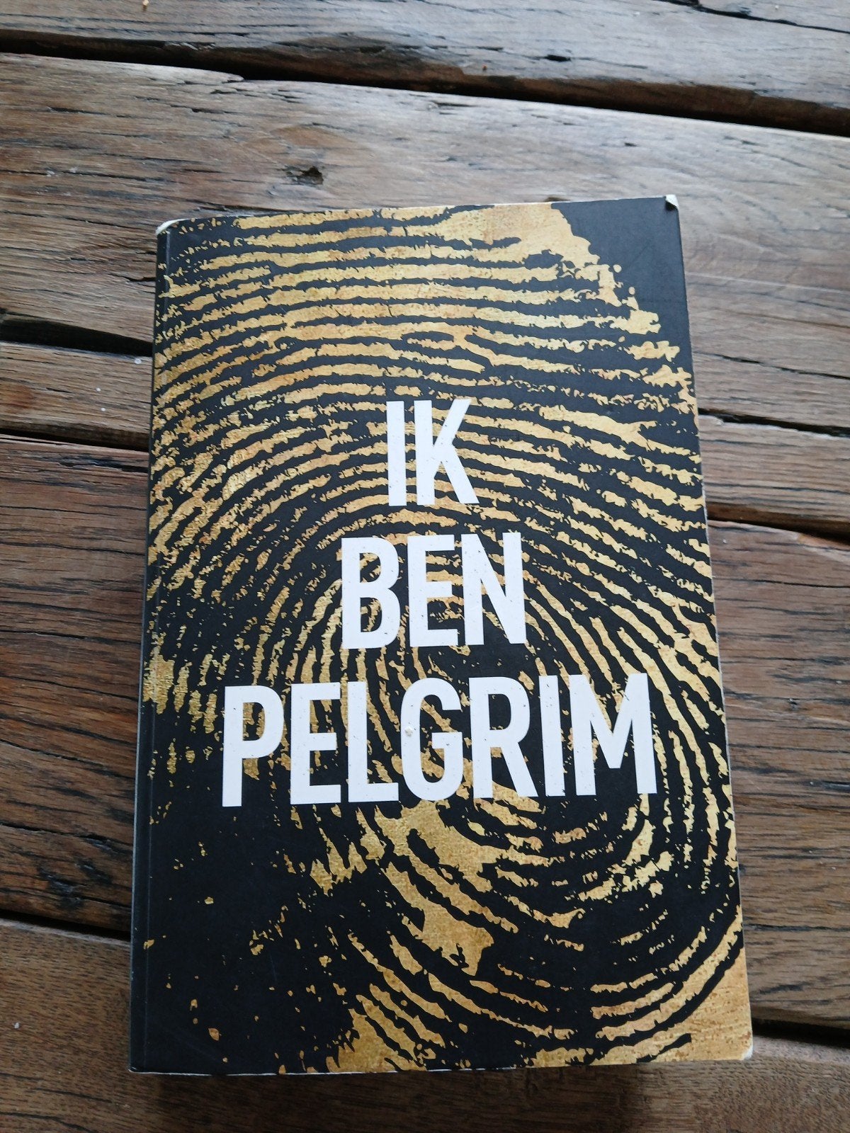 Ik Ben Pelgrim - Terry Hayes (Thriller), Boeken, Ophalen of Verzenden, Gelezen, Terry Hayes, Europa overig