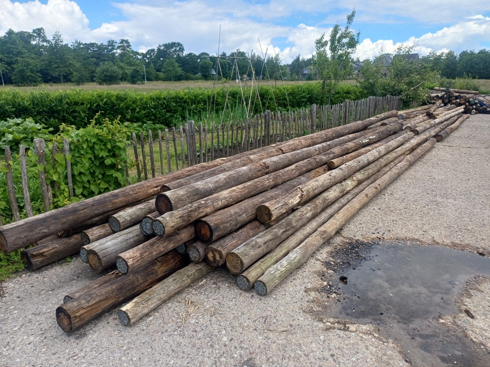 Palen hardhout rond 40stuks 7m1, Ophalen of Verzenden, 50 mm of meer, Balk, Minder dan 200 cm