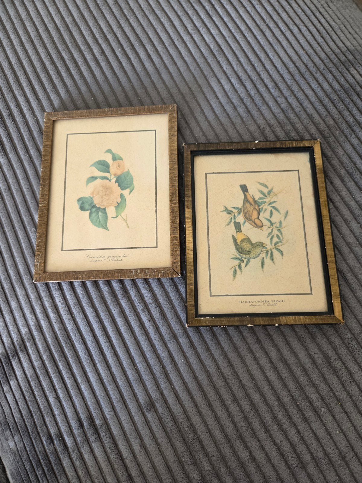 2 oude vintage prenten in lijstje, Ophalen of Verzenden