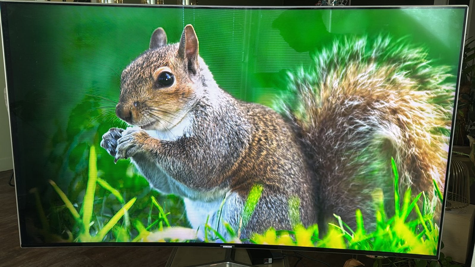 Samsung curved QLED TV + One Connect box, Ophalen