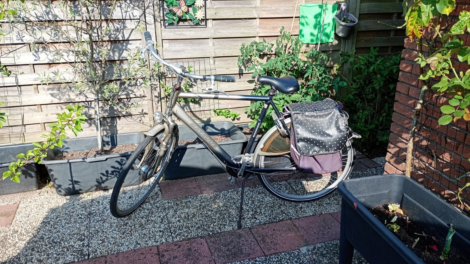 Herenfiets, 55 cm of meer, Ophalen, Gebruikt, Minder dan 10 versnellingen