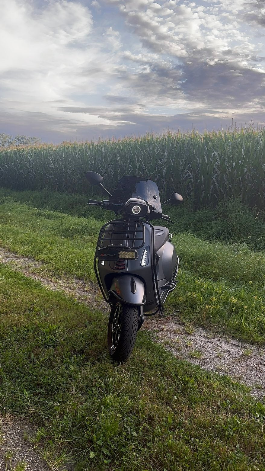 vespa sprint | full option 80cc | malossi, Ophalen, Vespa S, Zo goed als nieuw, Benzine