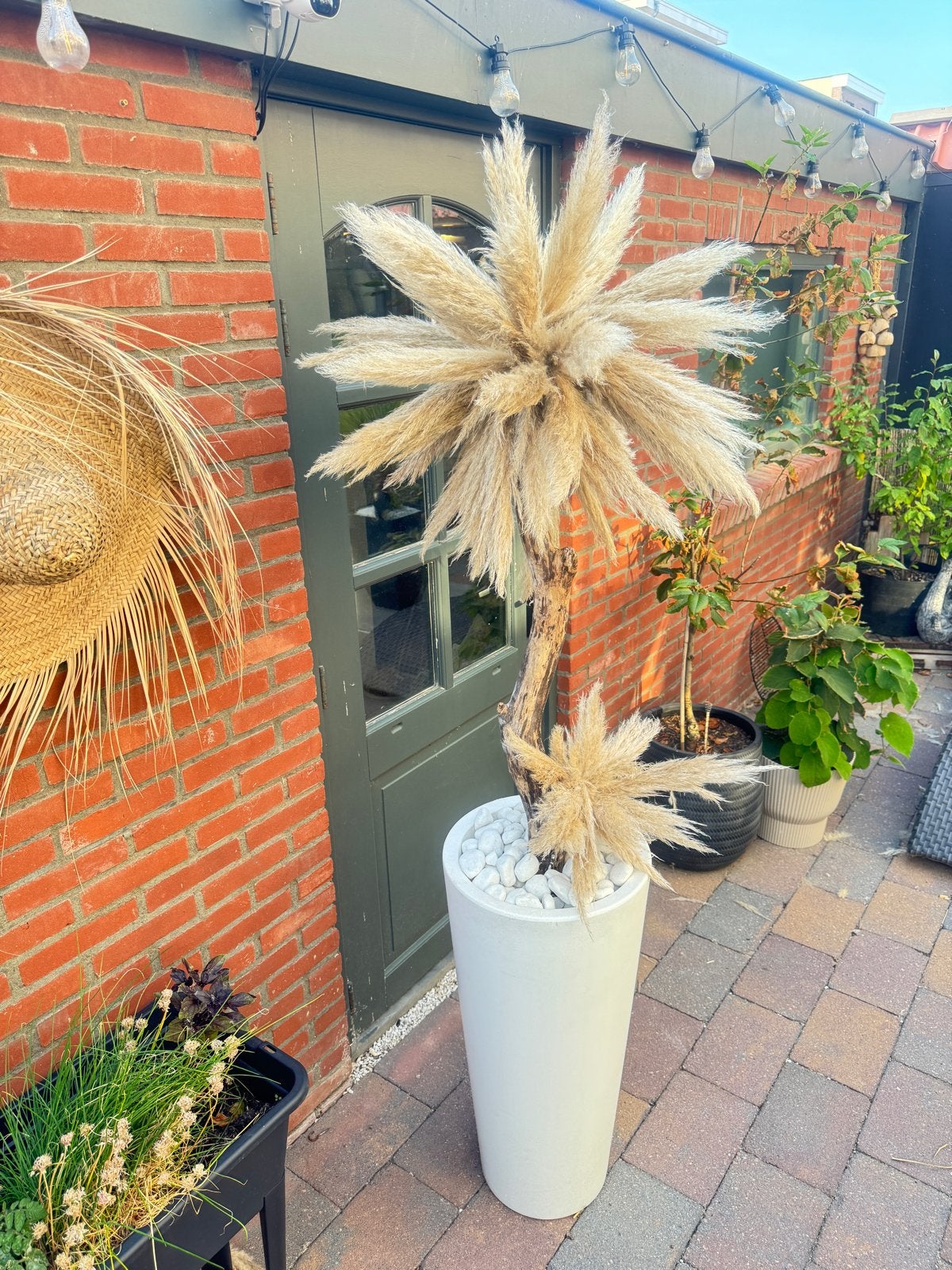Grote pampasboom  in witte pot 2 meter hoog, Ophalen, Zo goed als nieuw