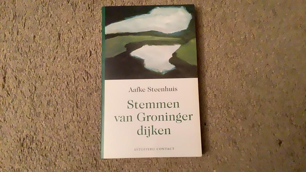 Aafke Steenhuis - Stemmen van Groninger dijken, Ophalen of Verzenden, Zo goed als nieuw, A. Steenhuis