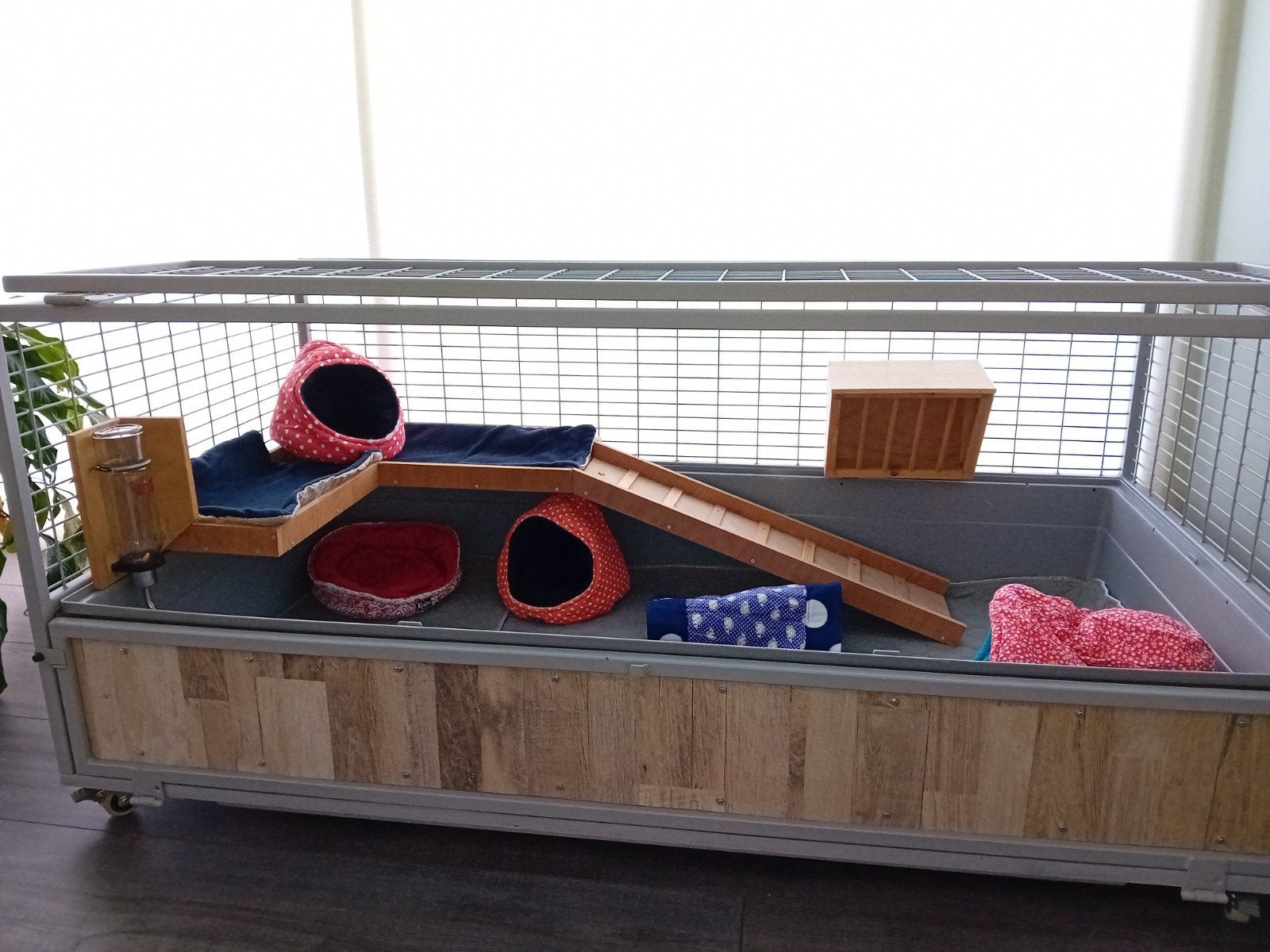 Caviahok verrijdbaar 153cm B x 63cm H x 78,5cm D, Ophalen, 60 tot 90 cm, Hok, Cavia
