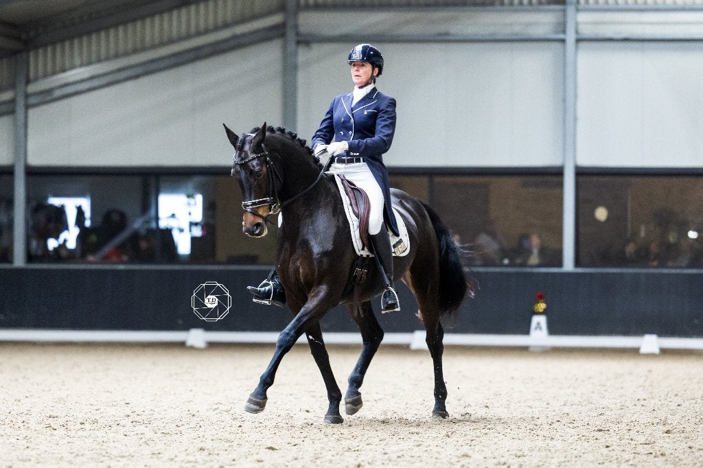 Instructie / Training dressur, Gedragstraining