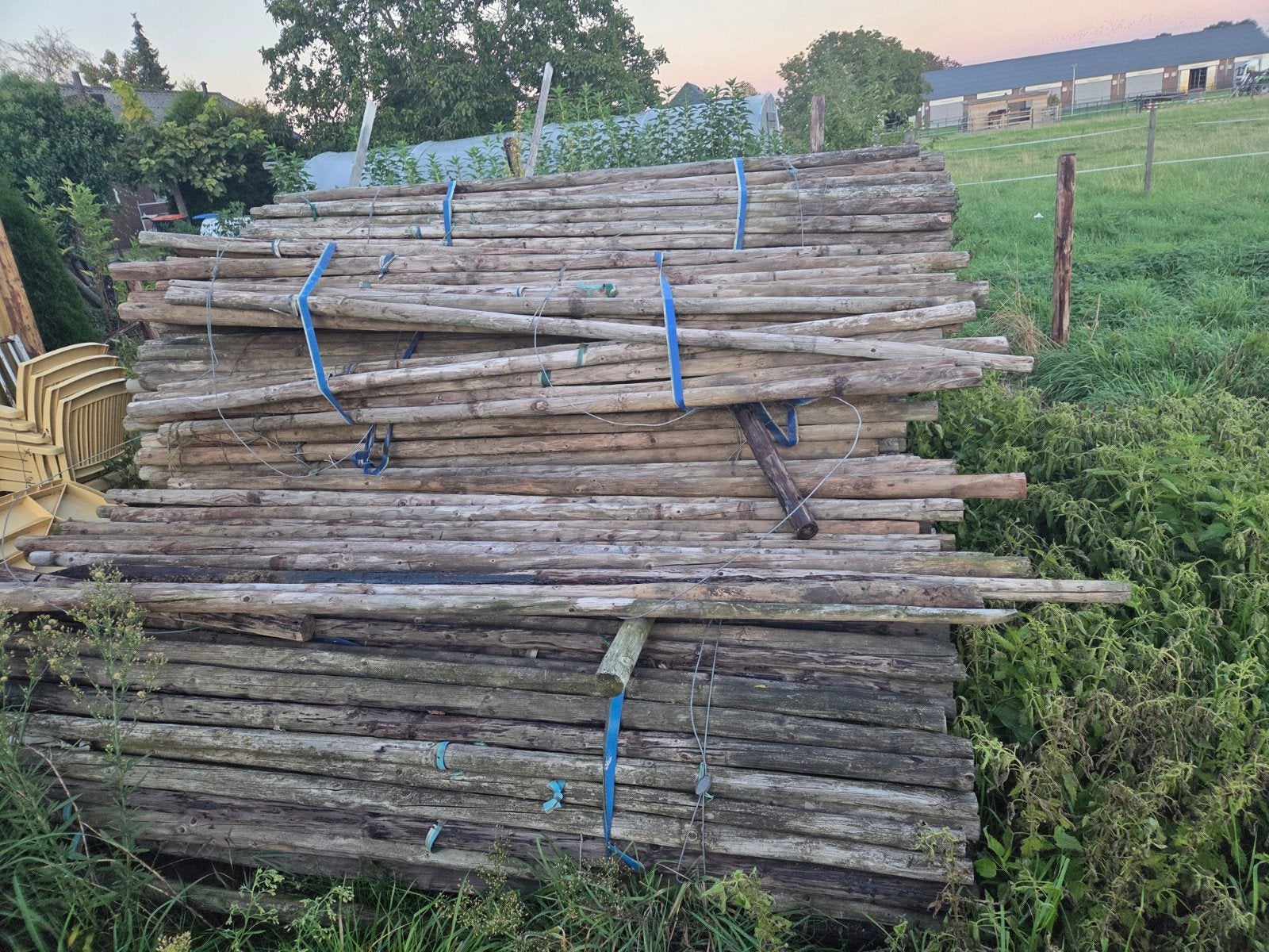 Boompalen 2,5 meter - Ideaal voor diverse toepassingen, Ophalen, Gebruikt, 250 cm of meer, Palen
