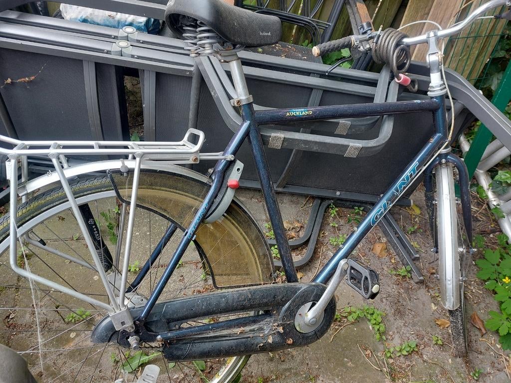 Giant Auckland heren stadsfiets - Opknapper, Fietsen en Brommers, Ophalen, Velgrem, Versnellingen, Giant