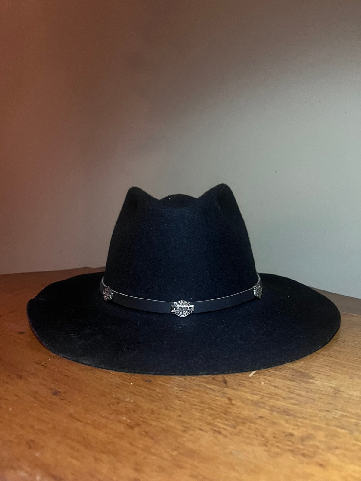 Harley-Davidson cowboyhoed / westernhoed - Maat S, Ophalen of Verzenden, Zo goed als nieuw, 55 cm (S, 6⅞ inch) of minder, Hoed